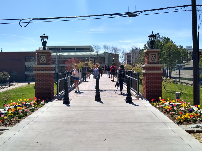 Murray State University, Murray, MSU, Chestnut Pedestrian Bridge